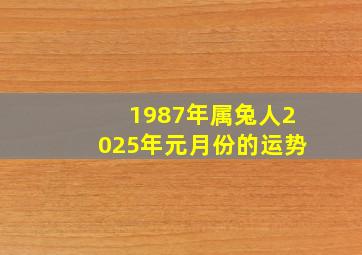 1987年属兔人2025年元月份的运势