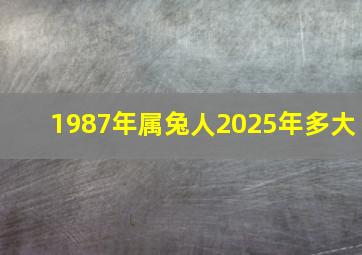 1987年属兔人2025年多大