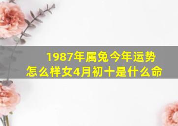 1987年属兔今年运势怎么样女4月初十是什么命