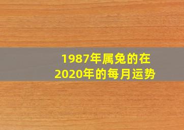 1987年属兔的在2020年的每月运势