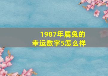 1987年属兔的幸运数字5怎么样