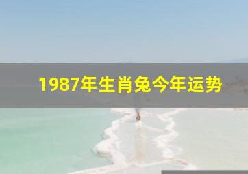 1987年生肖兔今年运势