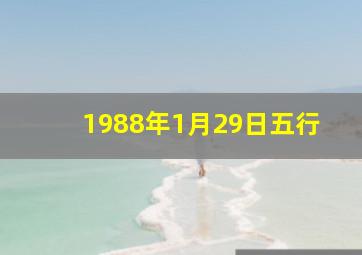 1988年1月29日五行