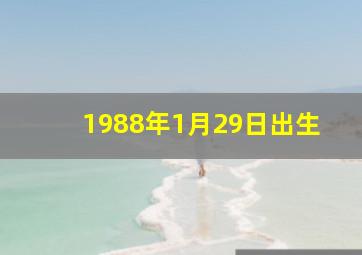 1988年1月29日出生