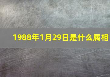 1988年1月29日是什么属相