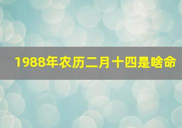 1988年农历二月十四是啥命