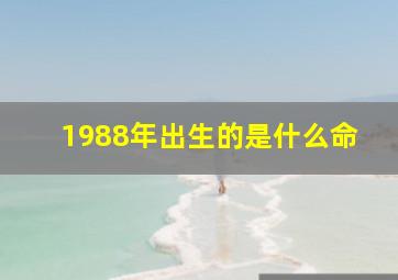 1988年出生的是什么命