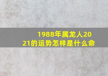 1988年属龙人2021的运势怎样是什么命