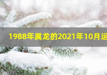 1988年属龙的2021年10月运势