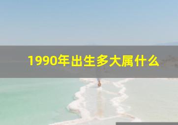 1990年出生多大属什么