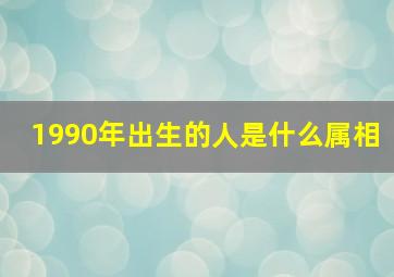 1990年出生的人是什么属相