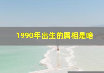 1990年出生的属相是啥