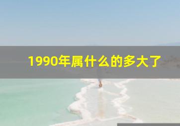 1990年属什么的多大了