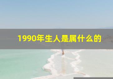 1990年生人是属什么的