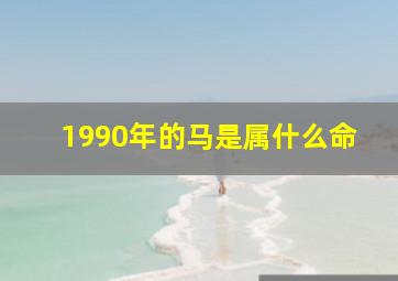 1990年的马是属什么命