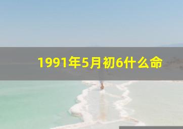 1991年5月初6什么命