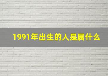 1991年出生的人是属什么