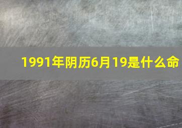 1991年阴历6月19是什么命