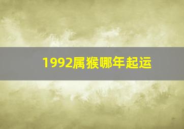 1992属猴哪年起运