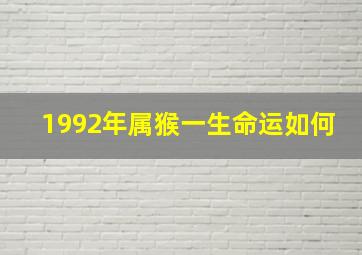 1992年属猴一生命运如何