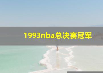 1993nba总决赛冠军