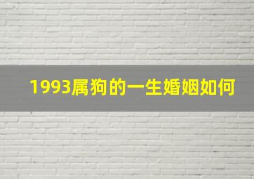 1993属狗的一生婚姻如何