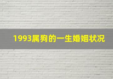 1993属狗的一生婚姻状况