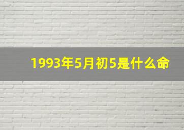 1993年5月初5是什么命