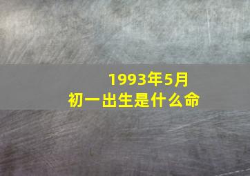 1993年5月初一出生是什么命