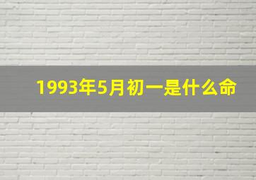 1993年5月初一是什么命