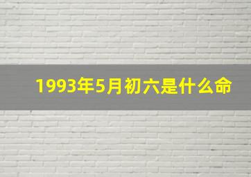 1993年5月初六是什么命