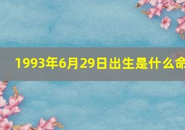 1993年6月29日出生是什么命