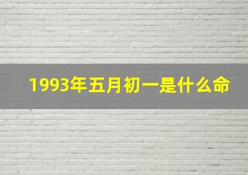 1993年五月初一是什么命