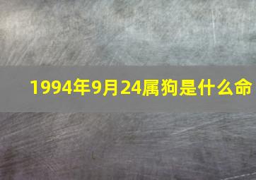 1994年9月24属狗是什么命