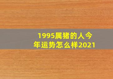 1995属猪的人今年运势怎么样2021