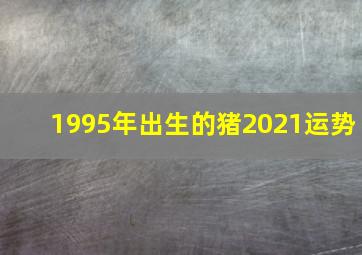 1995年出生的猪2021运势