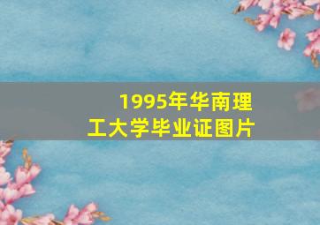 1995年华南理工大学毕业证图片