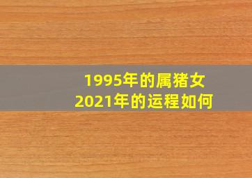 1995年的属猪女2021年的运程如何