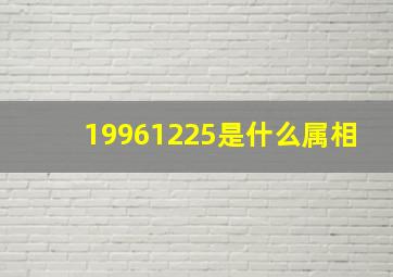 19961225是什么属相