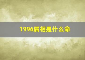 1996属相是什么命