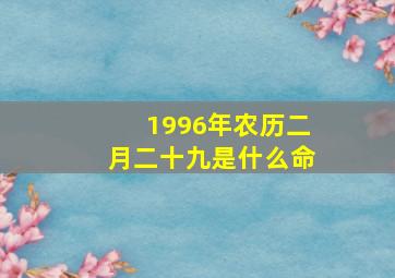 1996年农历二月二十九是什么命