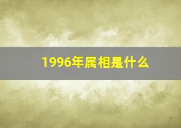 1996年属相是什么