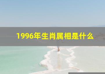 1996年生肖属相是什么