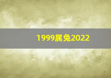 1999属兔2022