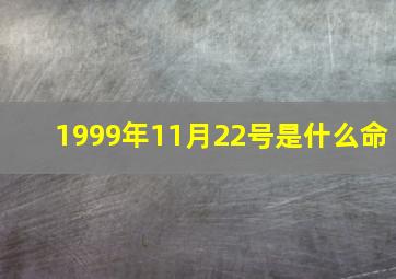 1999年11月22号是什么命