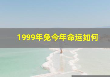 1999年兔今年命运如何