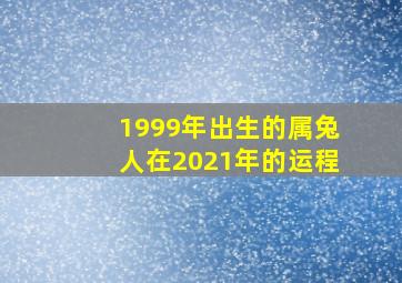 1999年出生的属兔人在2021年的运程