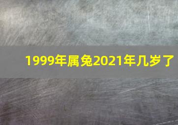 1999年属兔2021年几岁了