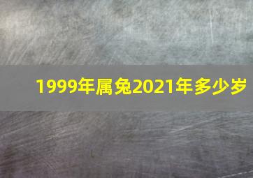 1999年属兔2021年多少岁