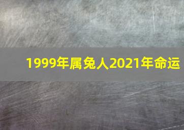 1999年属兔人2021年命运